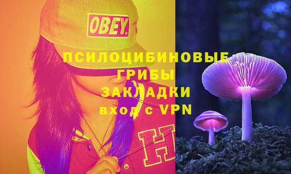 дурь Алексин