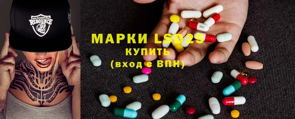 гашик Алзамай
