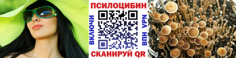 Псилоцибиновые грибы Psilocybe  Сасово 